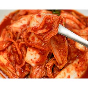 한백김치 겉절이 1kg 2kg 제주배추[100%국내산], 1개