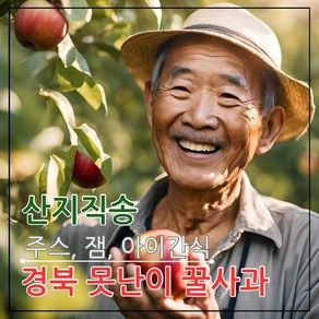 사과 경북 못난이 꿀사과 산지직송 흠과 주스용 아이간식 어린이주스 35-48개 실중량9kg, 1박스, 9kg