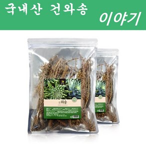 해피스토어70 국내산 건와송 (말린 와송), 2개, 100g