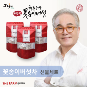 유수암더팜 허도광 청춘도감 프리미엄 꽃송이버섯 차 무농약 친환경 제주산, 36개, 2g