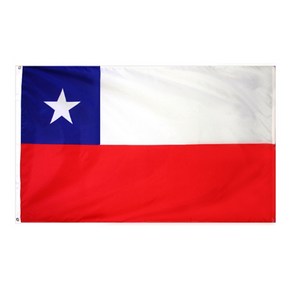 칠레 국기 대형 깃발 chile national flag 게양기 응원 행사