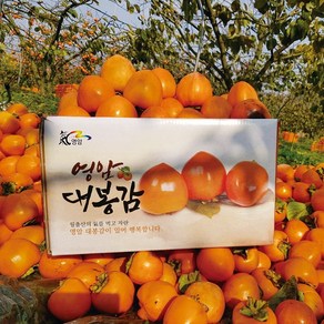 영암 대봉감 4.5kg (11~15과) / 곶감용 홍시용 대봉, 1박스