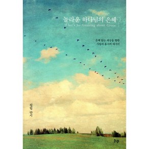 놀라운 하나님의 은혜?:은혜 없는 세상을 향한 사랑과 용서의 메시지, IVP