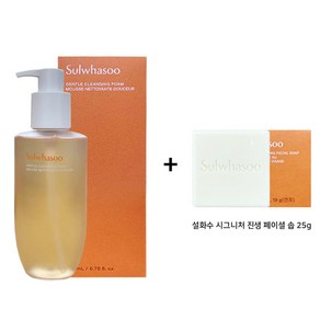 순행 클렌징폼 200ml 단품 + 시그니처 진생 솝 25g 증정, 1개