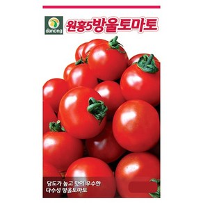 다농 원홍5방울토마토 씨앗 50립 고당도방울토마토종자, 1개