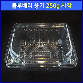 블루베리 용기 250g 사각 (100개) / 베리류 아로니아 오디 복분자 방울토마토 과일 포장 용기, 1세트, 100개