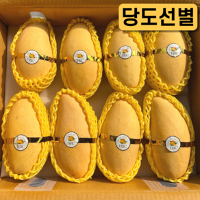 프리미엄 태국 골드 망고 남독마이 18bix, 1박스, 2kg (5과 내외)