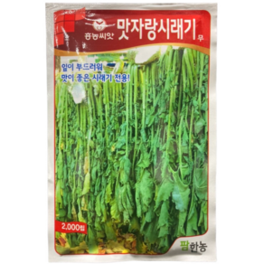 시래기무 씨앗 종자 맛자랑시래기무 2000립, 1개