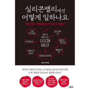 실리콘밸리에선 어떻게 일하나요:직원 만족과 경쟁력을 함께 키우는 조직문화 7, 더퀘스트, 크리스 채