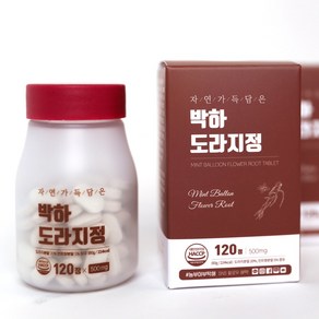 박하 도라지정 환 500mg X 120정, 1개, 60g