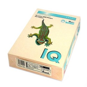 몬디 IQ Colo 색상용지 CR20 크림색 80g, A4, 500매