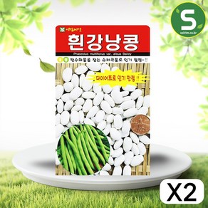 솔림텃밭몰 흰강낭콩씨앗 30g 강낭콩씨앗 콩씨앗 슈퍼곡물, 2개