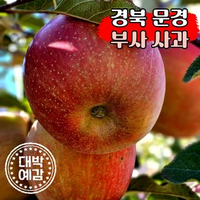 [A급 사과] 경북 문경 산지직송 명품 부사 흠과 못난이 정품, 1박스, 5kg(대과 15개 내외)