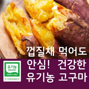 유기농 토울 달수 밤꿀 아삭툭 고구마 식초 김치, 보통(100g이하/개당) 3kg, 1개