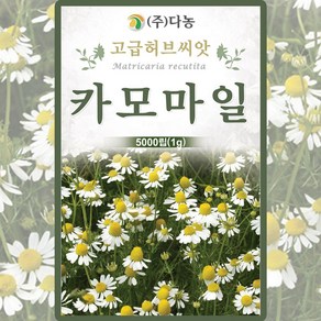 카모마일 씨앗 5000립 꽃씨 야생화 캐모마일 허브씨앗 종자 카모마일씨 DN, 1개