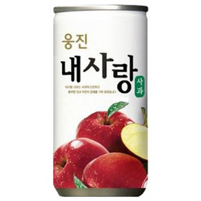 [KT알파쇼핑]웅진 내사랑 사과 180ml x 30캔, 기본상품, 30개