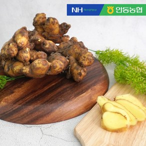 [더조은푸드] 안동농협 향긋한 흙 생강, 흙생강 2kg, 1개