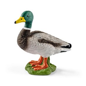 Schleich 슐라이히 13824 [FARM WORLD 시리즈 오리(수컷)], 1개