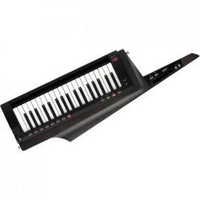 KORG 코르그 KEYTAR 숄더 키보드 신디사이저 스테이지 RK-100S 2 블랙 일본직구, 트랜스루센트 블랙, 1개