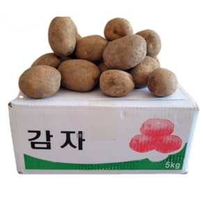 두백감자 강원도 고랭지 중상 3kg(소)5kg 10kg 20kg, 1박스