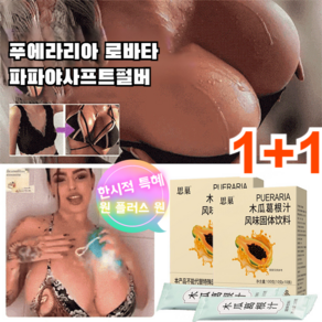 1+1 칡뿌리 야 프루트 파우더 말린모과가루, (10pcs/박스)*10박스, 2개