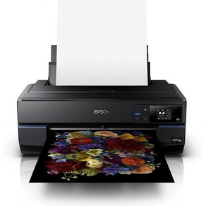 Epson SueColo P800 17인치 잉크젯 컬러 프린터 검정, 1개