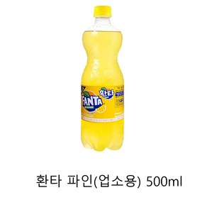 환타 파인애플, 500ml, 24개