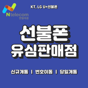 앤텔레콤 선불폰 (KT LG SKT) 연체폰 사용 가능 선불유심 빠른배송 빠른개통, LG선불유심 (3사연체폰사용가능), 1개