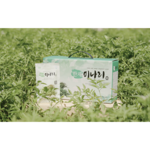 한재 미나리즙 70ml*30포