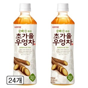 롯데칠성 초가을 우엉차, 500ml, 24개