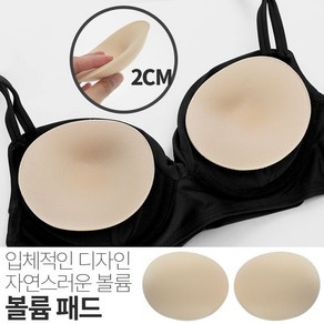 볼륨 비키니 수영복 속옷 패드 AC279F