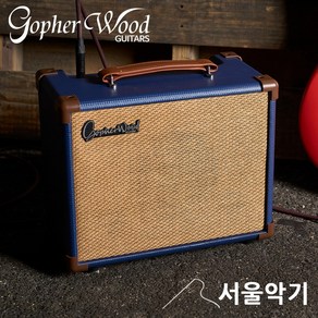 고퍼우드 연습용 15W 베이스 앰프 GopheWood AkBass15, 단품, 1개