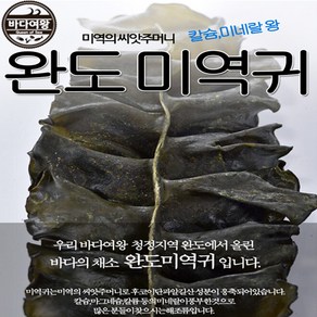 바다여왕 해조류모음, 1개, 완도햇미역귀 500g