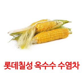 칠성 옥수수 수염차 500ml x 24개