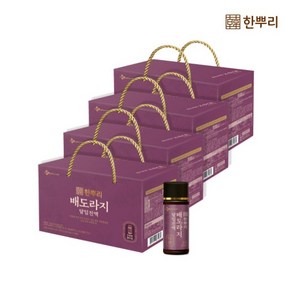 [CJ공식] 한뿌리 배도라지(100ml*10병) 4박스, 4개, 1L