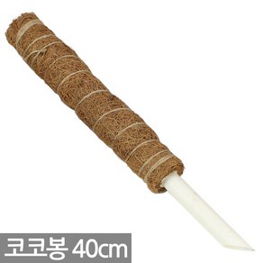 몬스테라 수태봉 코코봉 연결형 식물지지대 지주대 (40cm 50cm 70cm 90cm )