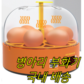 디와이 [국내배송] 6구 자동 회전 병아리 부화기 KC인증