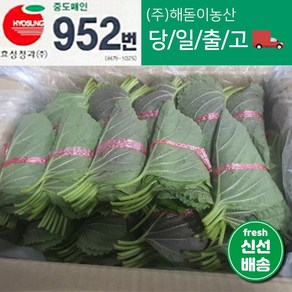 해돋이농산 국내산 깻잎 특품 1박스 (50속), 1.5kg