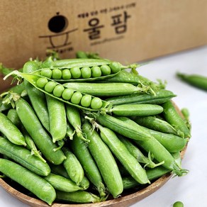 [울팜] 달큰 고소한 국산 제철 햇완두콩 부드러운 생 완두콩, 1개, 2kg