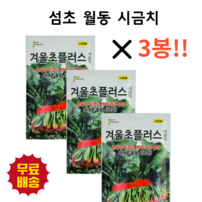 섬초 월동시금치 겨울초 피피에스 2000립, 3개