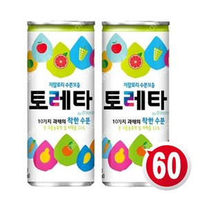 토레타 이온음료 캔, 240gam, 60개입, 240ml