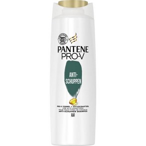 독일 팬틴 프로 브이 Pantene Po-V 안티 슈펜 샴푸, 1개