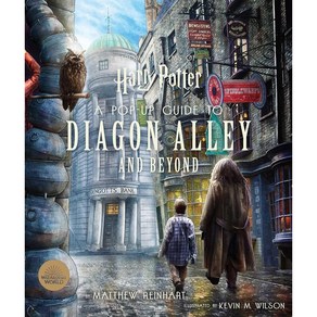 해리포터 팝업북 Hay Potte: A Pop-Up Guide to Diagon Alley and Beyond, Insight Editions