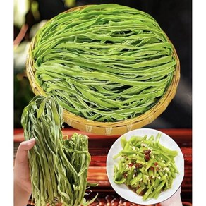 건궁채 마른궁채 마른줄기상추 마라궁채 건나물 공채, 1개, 1kg