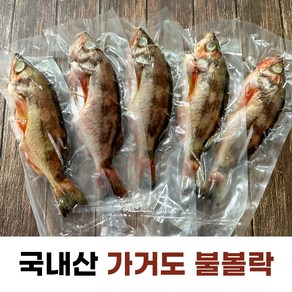 신안 가거도 국내산 손질 불 볼락 열기(특대 1미 250g)개별포장, 5개