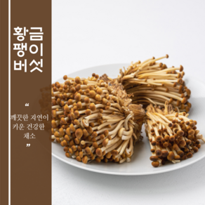 국내산 황금팽이버섯, 4개, 200g