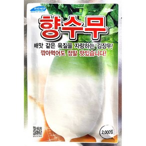 [OK씨앗] [맛오름무] 김장무씨앗(오케이씨앗), 1개