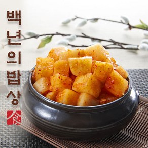 깍두기가 맛있어 대박난 백년설농탕 깍두기, 1개, 1kg