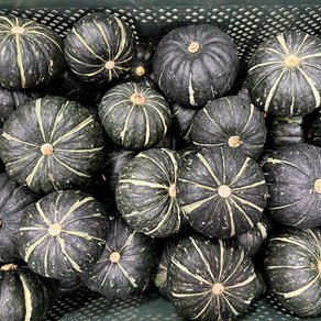 [새벽농장] 속이 꽉찬 국내산 햇 미니밤호박 특품, 1박스, 1kg(3~6개)