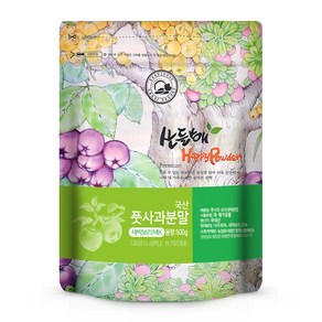 국산 풋사과분말 새싹보리믹스, 500g, 1개